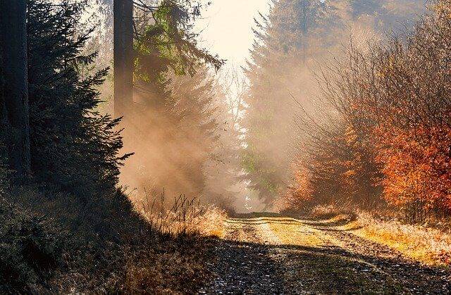 Давайте не будем укрепляться в мысли, что зима близко